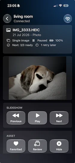 FrameSense remote dashboard on iPhone